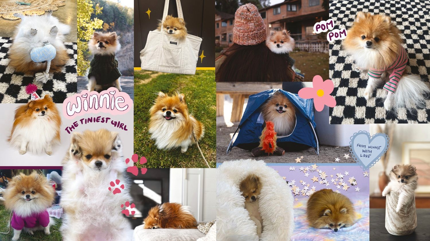 A photo collage of the real Winnie: camping, hiking, birthdays, and naps